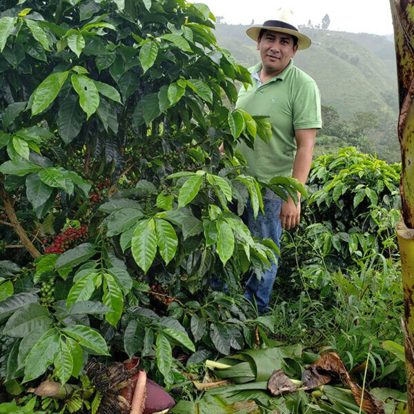 one line coffee farmer